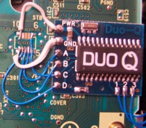 Chip douq07.JPG