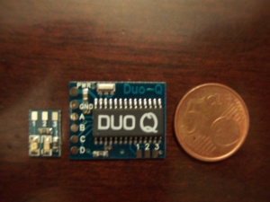 Chip douq01.JPG